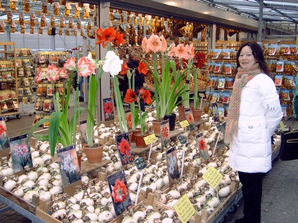 2005-01-04 - Asd - 36 - flowermarket